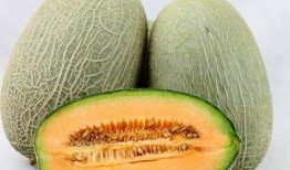 象山小伙吃哈密瓜,甜蜜邂逅与味蕾盛宴