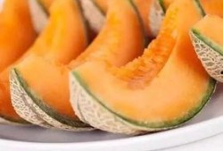 吃枣子可以吃哈密瓜吗,探索吃枣子与哈密瓜的奇妙搭配