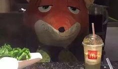 今日吃瓜51吃瓜海底捞,51吃瓜背后的真相与反思