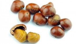 小猫吃板栗瓜好吗,小猫食用板栗瓜的安全性探讨