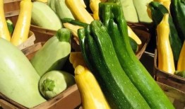 带你吃瓜 重庆,带你吃遍山城特色瓜果飘香