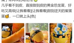 兄妹俩吃哈密瓜的文案,哈密瓜美食之旅