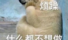 吃瓜群众路过图片,揭秘幕后真相