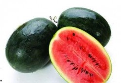 吃瓜不信瓜香水,香氛中的瓜界传奇