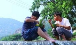 吃瓜山人,揭秘网络时代的“吃瓜群众”现象